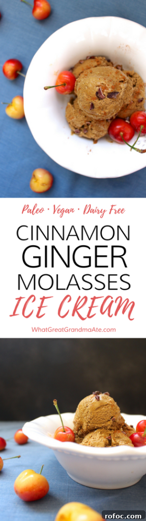 Cinnamon Ginger Molasses Paleo No‑Churn Ice Cream Recipe 8 Paleo Dairy Free Vegan Cinnamon Ginger Molasses Ice Cream