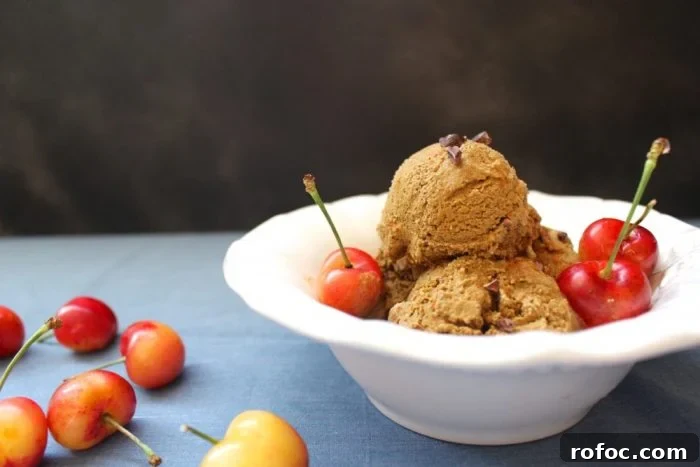 Cinnamon Ginger Molasses Paleo No‑Churn Ice Cream Recipe 5 paleo ice cream