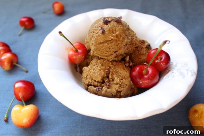 Cinnamon Ginger Molasses Paleo No‑Churn Ice Cream Recipe 6 paleo ice cream