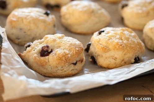 10 Delicious Saskatoon Berry Recipes You’ll Want to Try 22 Mini Saskatoon Scones on a parchment covered pan