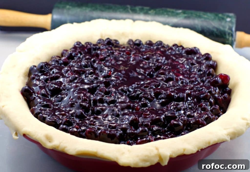 10 Delicious Saskatoon Berry Recipes You’ll Want to Try 5 Saskatoon berry pie filling poured into unbaked pie shell