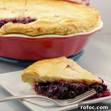 10 Delicious Saskatoon Berry Recipes You’ll Want to Try 6 Saskatoon berry pie slice on a white plate, with whole pie in background
