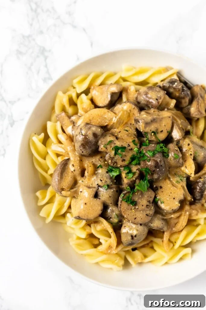 Creamy Mushroom Stroganoff Recipe for Weeknight Dinners 2 Creamy vegetarian mushroom stroganoff. Quick to make and easy to prepare this comforting vegetarian dish can be ready to eat in about 30 minutes and served with anything from pasta to potatoes.