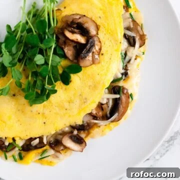 a top down view of a mushroom omelette topped with micro greens.