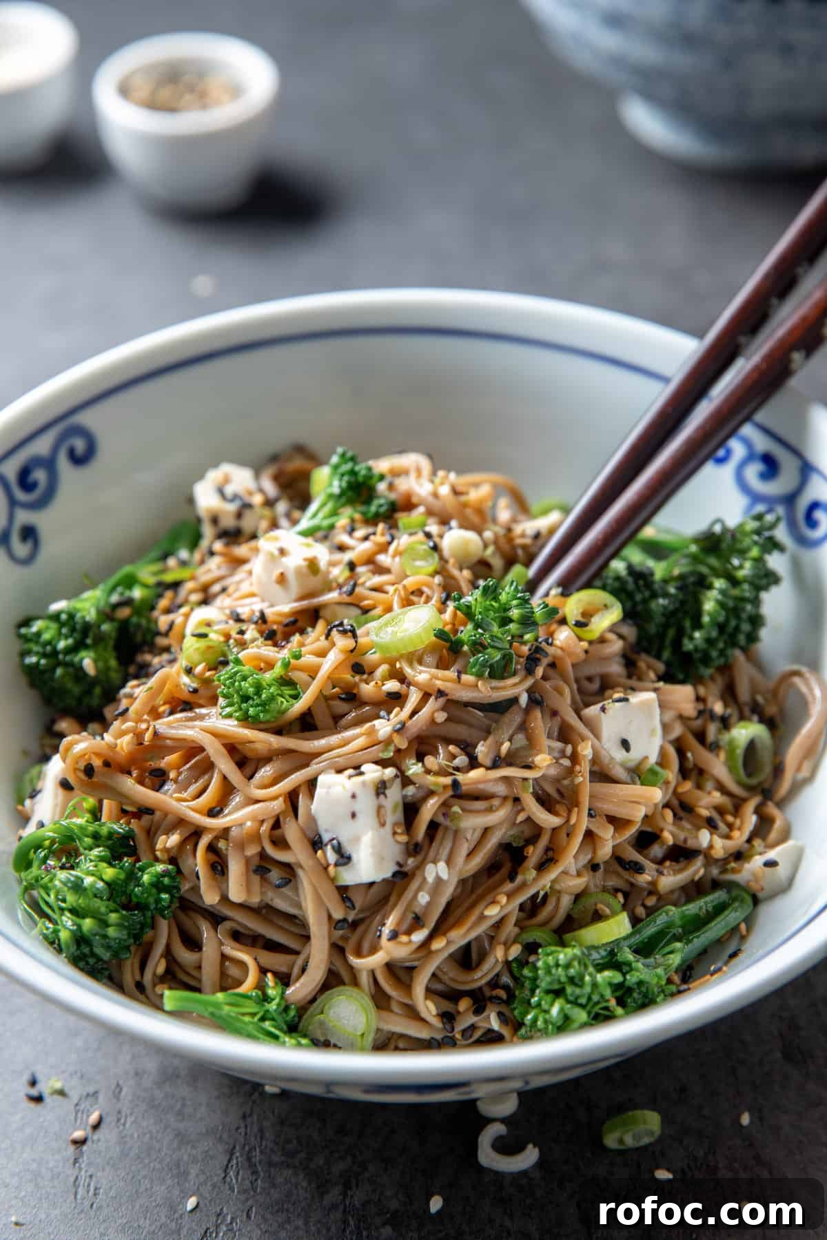 Photo of a bowl of soba noodles with broccoli and tofu cubes and a pair of chopsticks sticking out the side and a small bowl of sesame seeds in the background.