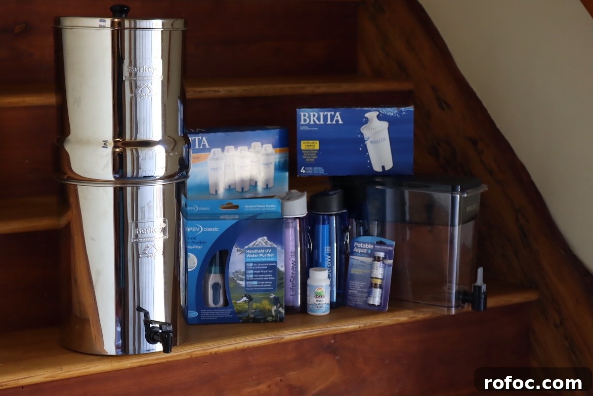 Could Humans Survive a Nuclear Winter? What Science Says 5 Emergency Water Filtration Options
