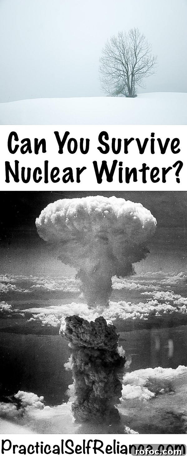 Could Humans Survive a Nuclear Winter? What Science Says 9 Can you survive a nuclear winter? #nuclear #survival #shtf #preparedness #prepper #selfsufficiency