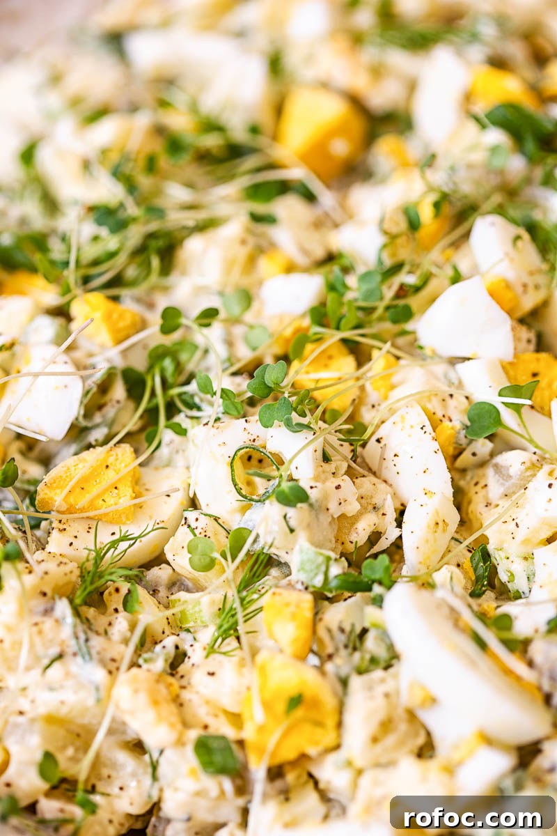 Creamy Dill Potato Salad with Fresh Herbs and Lemon Zest 7 Closeup showing microgreens and other ingredients
