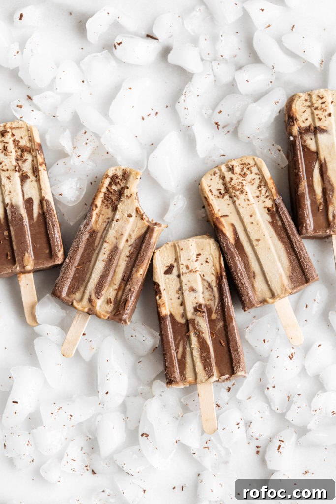 SunButter Chocolate Fudgesicles: Creamy No-Dairy Frozen Treats 2 SunButter Chocolate Fudgesicles