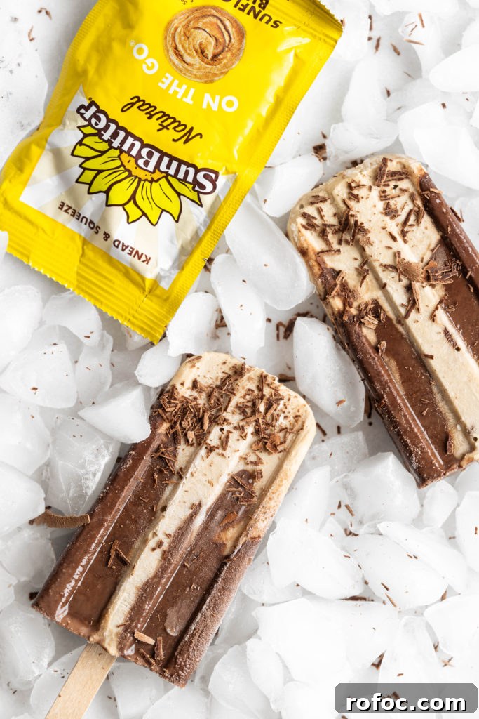 SunButter Chocolate Fudgesicles: Creamy No-Dairy Frozen Treats 3 Fudgesicle close up