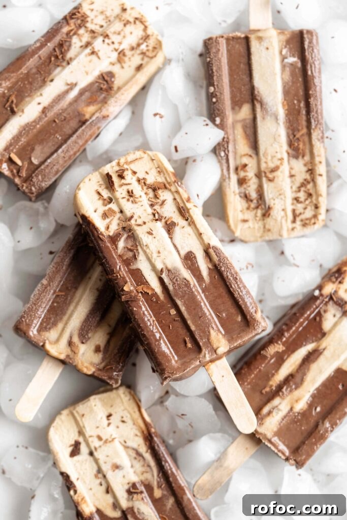 SunButter Chocolate Fudgesicles: Creamy No-Dairy Frozen Treats 4 Making fudgesicles