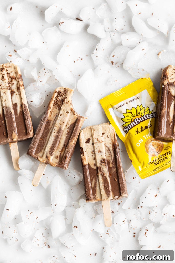 SunButter Chocolate Fudgesicles: Creamy No-Dairy Frozen Treats 6 Finished fudgesicles
