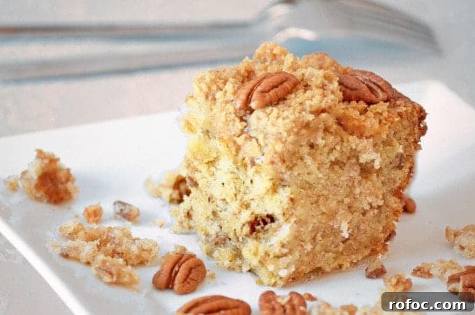 Moist Banana Crumb Cake Recipe with Cinnamon Streusel 7 a close up of a piece of cake