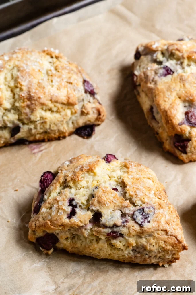 Fresh Cherry Scones: Flaky Homemade Recipe for Summer Baking 11 Baked cherry scones on parchment paper.