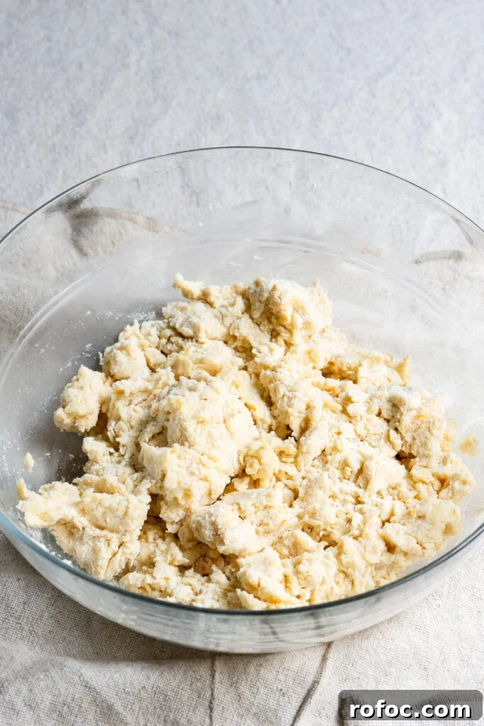 Fresh Cherry Scones: Flaky Homemade Recipe for Summer Baking 7 Plain scone dough in a mixing bowl.