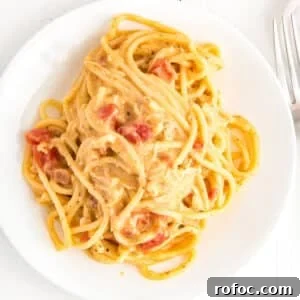 Slow-Cooker Chicken Spaghetti Recipe for Creamy, Cheesy Comfort 13 Plated chicken spaghetti.