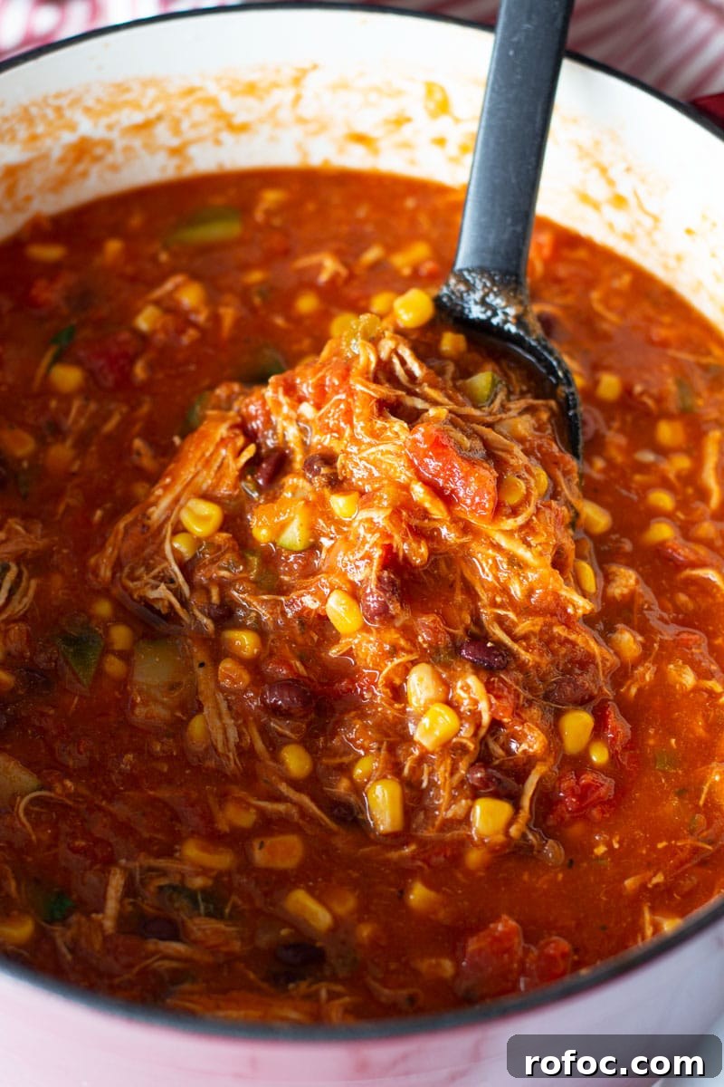 Ladle of shredded chicken tortilla soup.