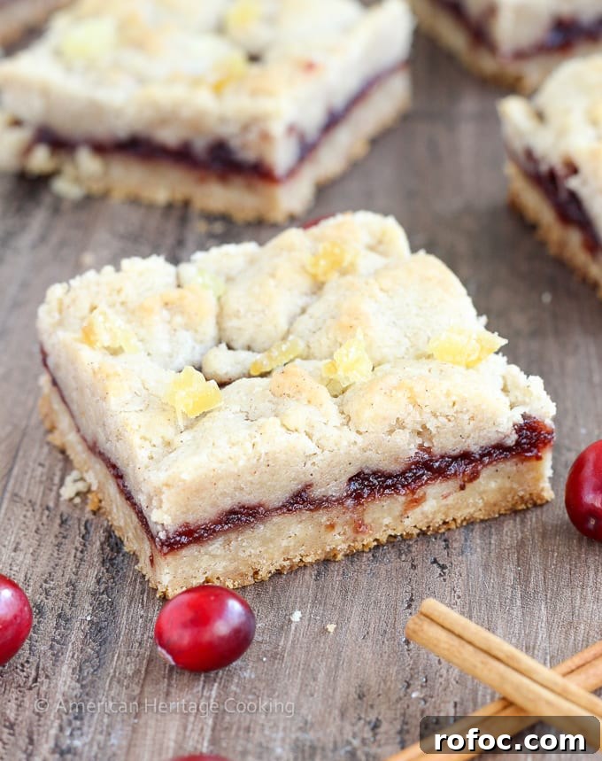 Cranberry Cinnamon Jam Bars Recipe: Sweet-Tart Oven-Baked Squares 2 There are few homemade desserts easier than jam bars and these Cranberry Cinnamon Jam Bars are not only easy they pack serious holiday flavor! The cinnamon streusel doubles as both the top and bottom crusts with a gooey, spiced cranberry filling in between.