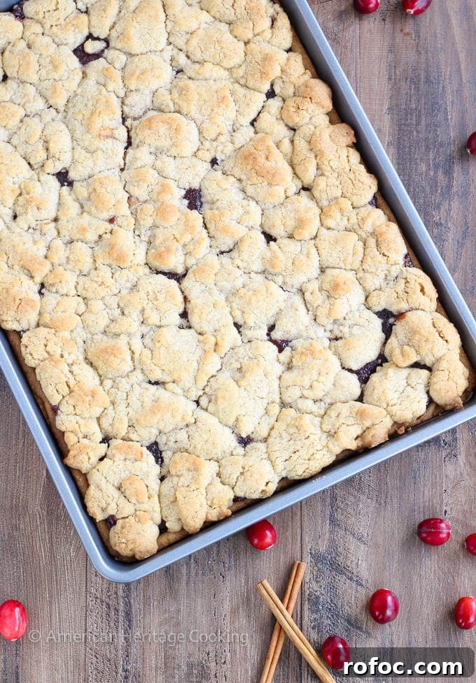 Cranberry Cinnamon Jam Bars Recipe: Sweet-Tart Oven-Baked Squares 3 There are few homemade desserts easier than jam bars and these Cranberry Cinnamon Jam Bars are not only easy they pack serious holiday flavor! The cinnamon streusel doubles as both the top and bottom crusts with a gooey, spiced cranberry filling in between.