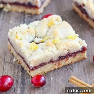 Cranberry Cinnamon Jam Bars Recipe: Sweet-Tart Oven-Baked Squares 6 There are few homemade desserts easier than jam bars and these Cranberry Cinnamon Jam Bars are not only easy they pack serious holiday flavor! The cinnamon streusel doubles as both the top and bottom crusts with a gooey, spiced cranberry filling in between.