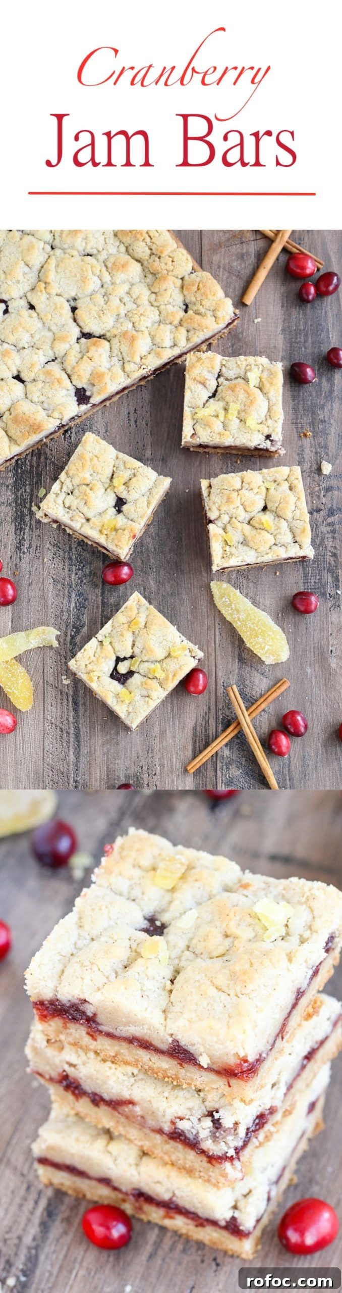 Cranberry Cinnamon Jam Bars Recipe: Sweet-Tart Oven-Baked Squares 7 There are few homemade desserts easier than jam bars and these Cranberry Cinnamon Jam Bars are not only easy they pack serious holiday flavor! The cinnamon streusel doubles as both the top and bottom crusts with a gooey, spiced cranberry filling in between.