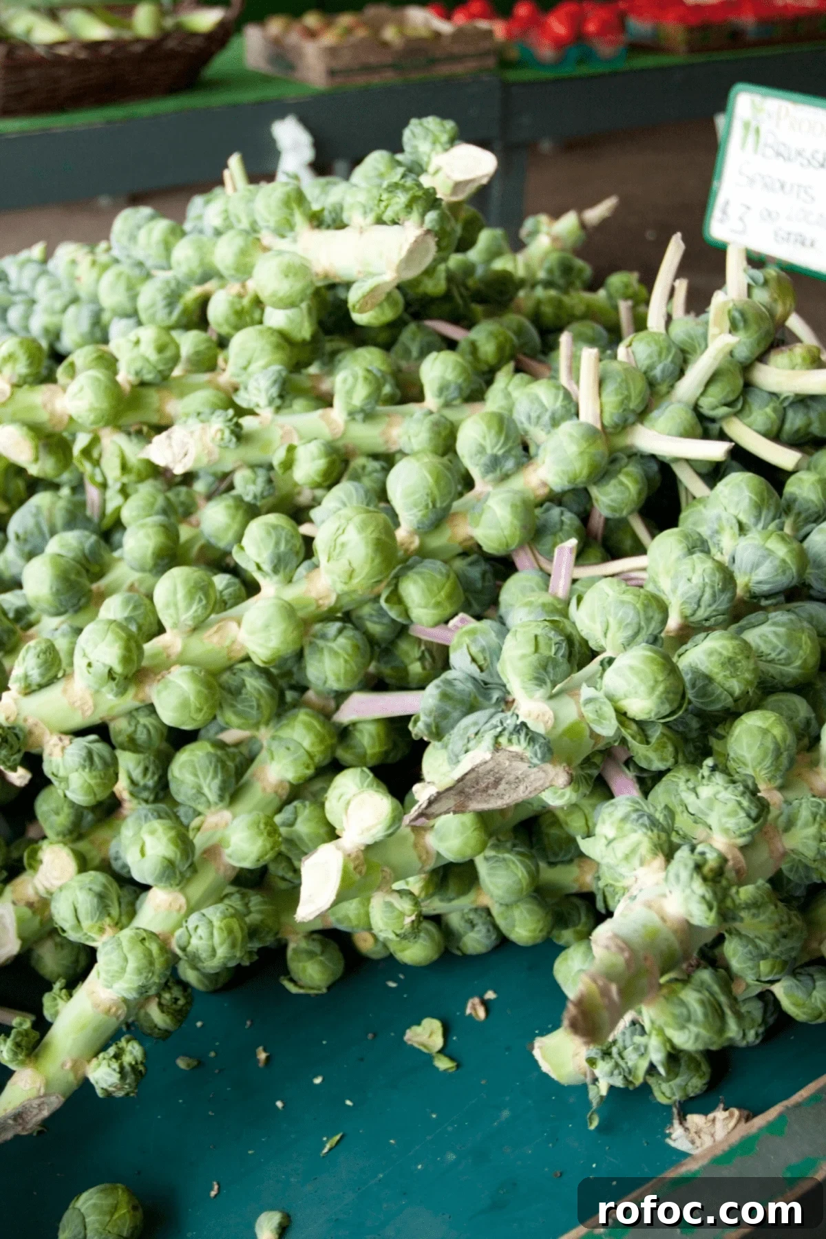 Top Vegetables for Babies 6–12 Months: 10 Nutritious Picks 11 brussel sprouts for baby