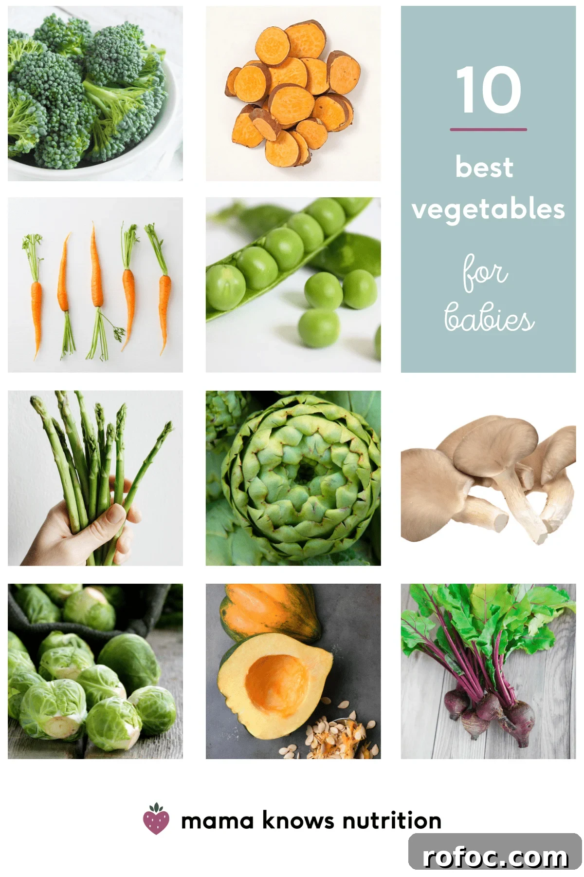 Top Vegetables for Babies 6–12 Months: 10 Nutritious Picks 3 variety of veggies for babies