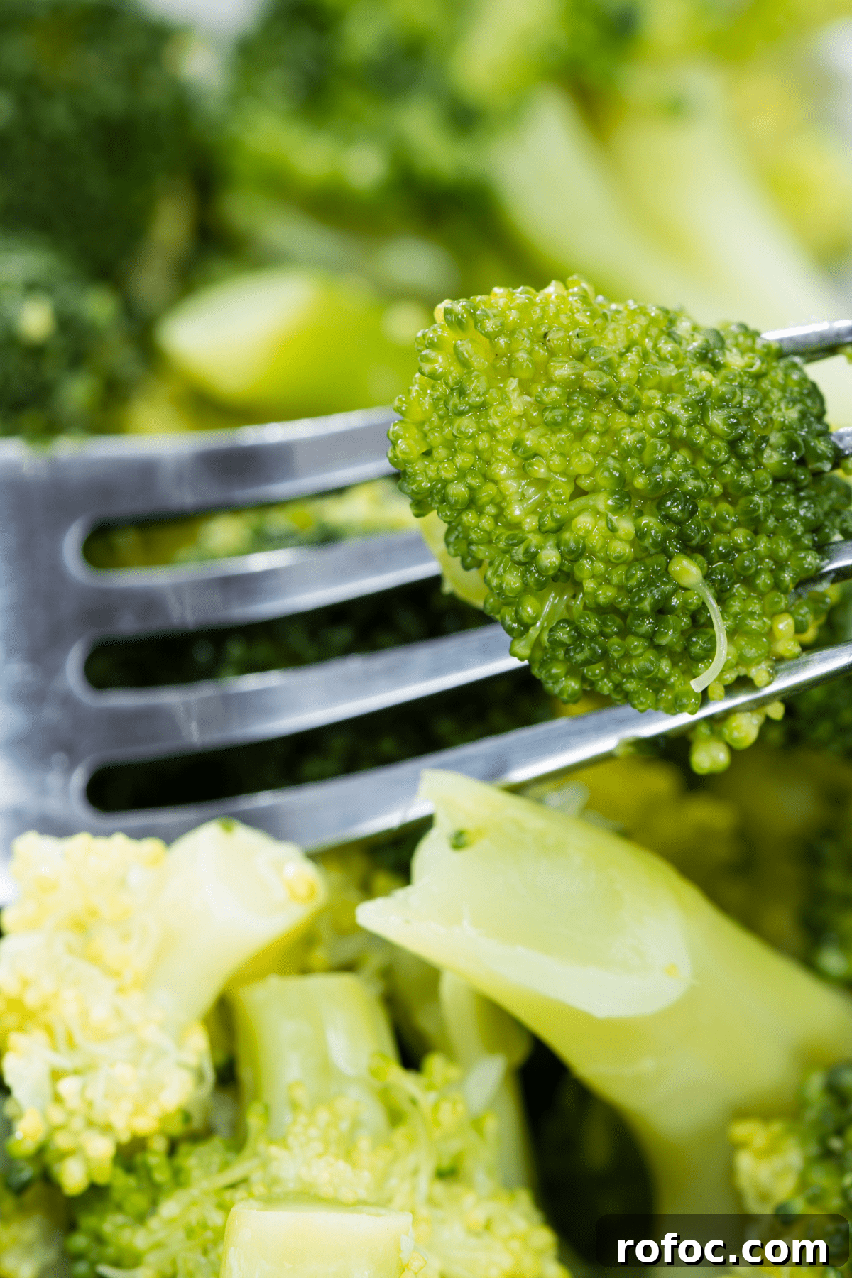 Top Vegetables for Babies 6–12 Months: 10 Nutritious Picks 4 broccoli for baby