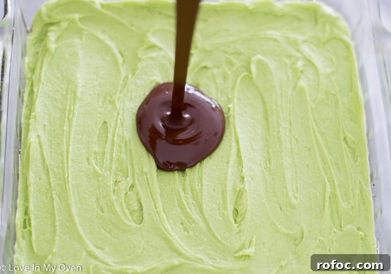 Mint Nanaimo Bars Recipe: Cool No-Bake Layered Chocolate Squares 10 img 6398 9