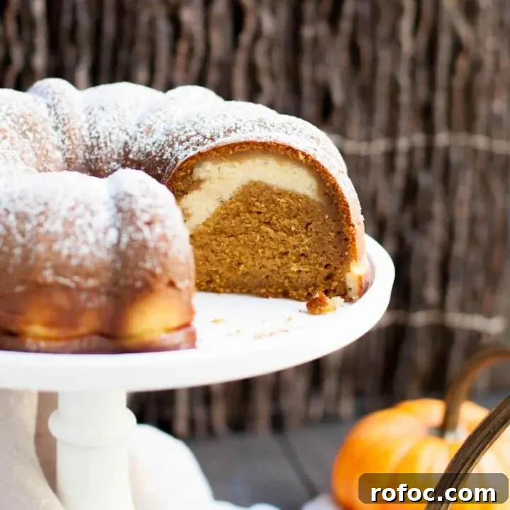 Pumpkin Ricotta Bundt Cake. Pour a sweet ricotta custard over the batter before baking. It will magically bake into a lovely swirl in this delicious cake.