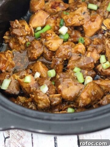 Slow Cooker Teriyaki Chicken