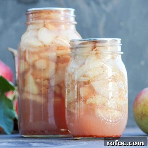 How to Can Apples: Simple Step-by-Step Guide for Homemade Canned Apples 2 Two glass jars full of apple slices sit next to whole apples.