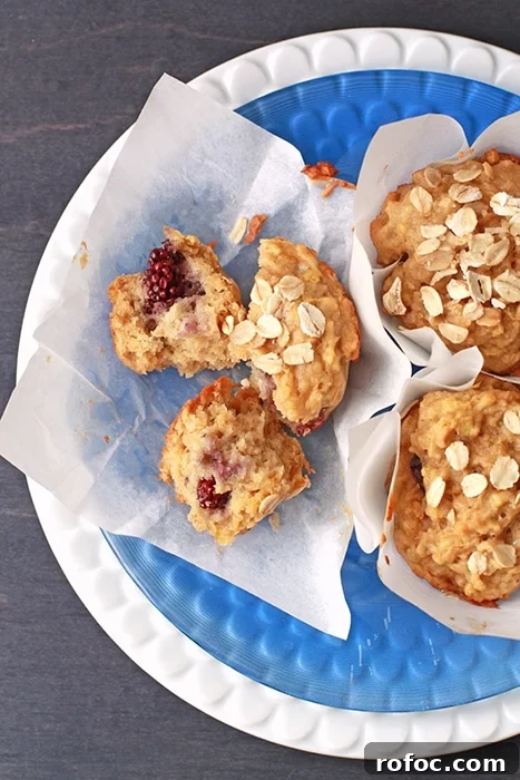 Hearty Apple and Blackberry Muffins Recipe for Fall Baking 9 apple blackberry breakfast muffins