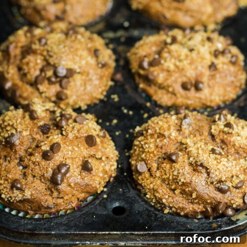 Gluten-Free Banana and Hazelnut Muffins Recipe 2 banana hazelnut muffins