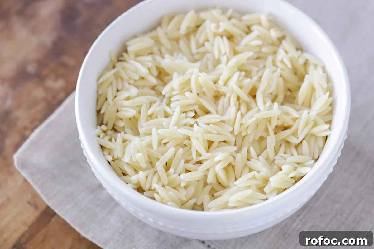 Cooked Orzo pasta in a white bowl. Cooked Orzo pasta in a white bowl for making mozzarella pasta salad.