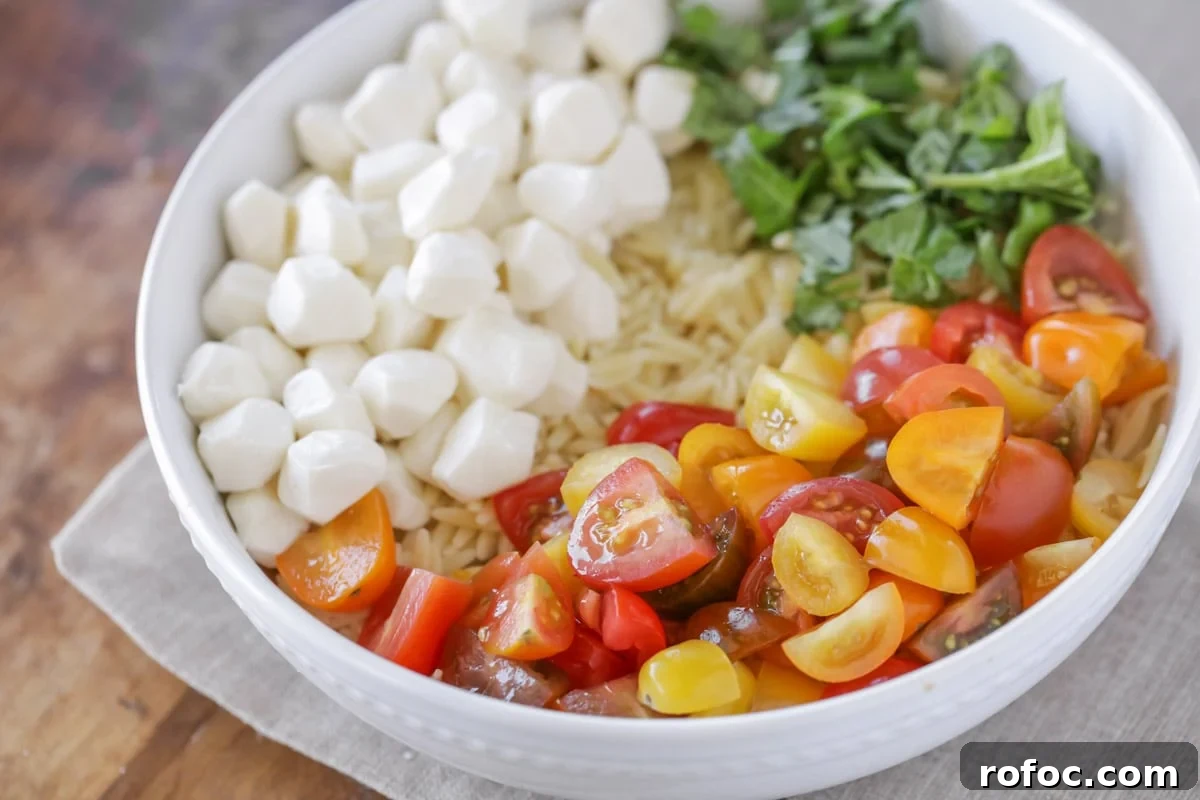 Orzo with mozzarella, tomatoes and basil in a white bowl. White bowl filled with orzo pasta, fresh mozzarella, tomoatoes and basil for fresh mozzarella pasta salad.