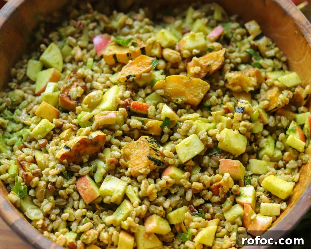 Farro Salad with Apples and Roasted Delicata Squash 3 close up view of a farro salad with roasted squash, apples, pecans, and more in a parsley vinaigrette.