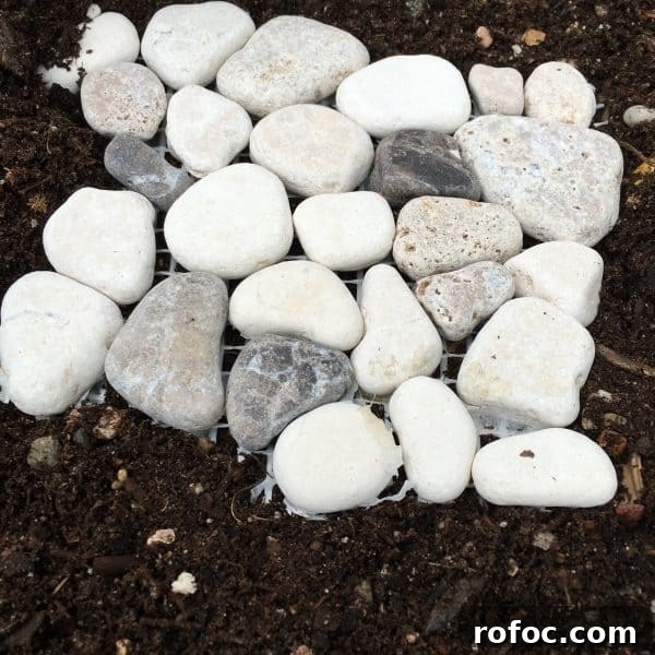 How to Build a Charming DIY Fairy Garden in Your Yard 4 Fairy Garden Prep