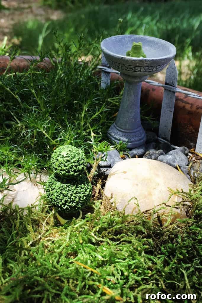 How to Build a Charming DIY Fairy Garden in Your Yard 7 Fairy Garden Frog Bird Bath