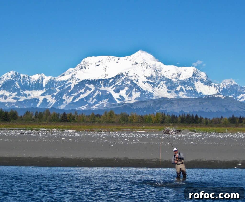 Alaskan Coho Salmon
