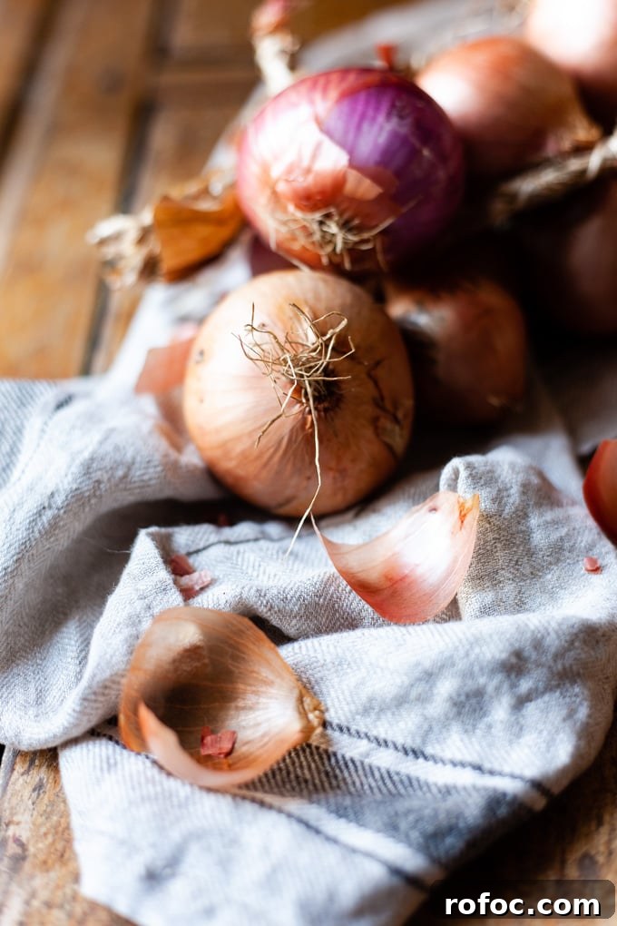 Classic French Onion Soup Recipe with Rich Caramelized Onions 3 img 8224 2