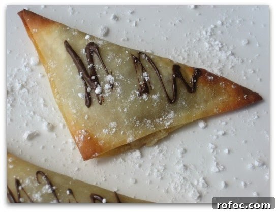 Chocolate Chip Cookie Dough Wontons — Crispy Dessert Bites 4 Chocolate Chip Cookie Dough Dessert Wontons