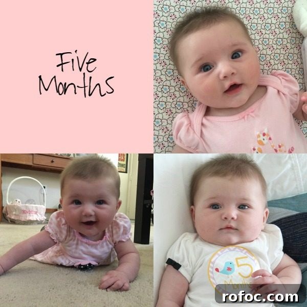 Madeline at Five Months: Development, Milestones & Care Tips 2 Madeline: Five Months