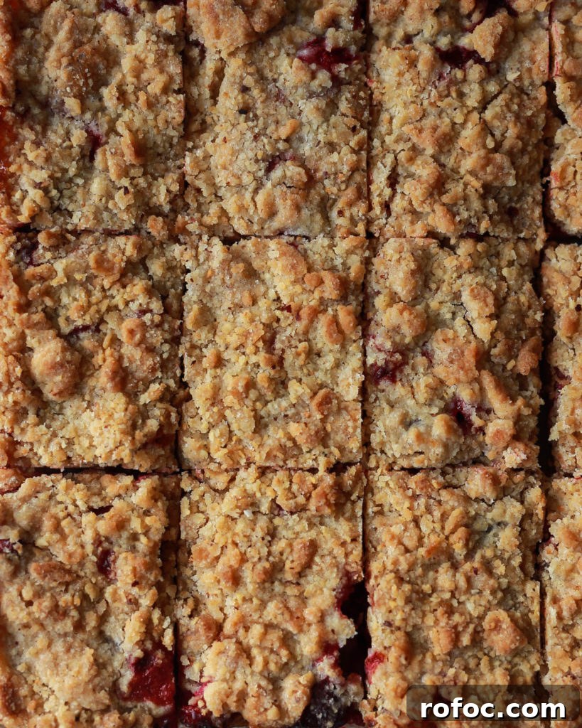 Cranberry Hazelnut Crumble Bars With Maple Glaze 2 cranberry hazelnut crumb bars