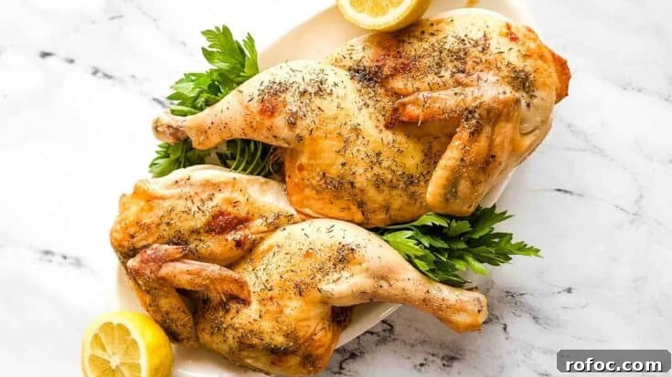 75 Cozy Rainy Day Dinner Ideas for Comforting Nights 8 Image for Roasted Half Chicken