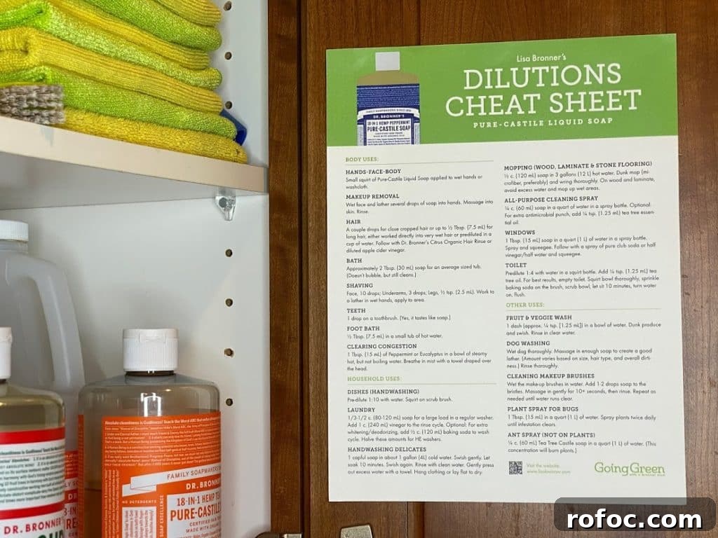 Cleaning Supply Cabinet Organization Ideas for Small Spaces 4 My Cleaning Cabinet