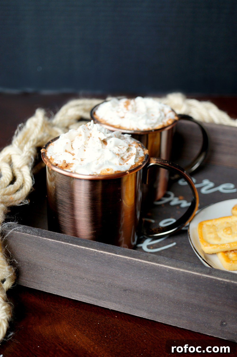 Vegan Hot Cocoa Sweetened with Dates: Creamy, Dairy-Free Recipe 2 vegan date sweetened hot cocoa | The Baking Fairy