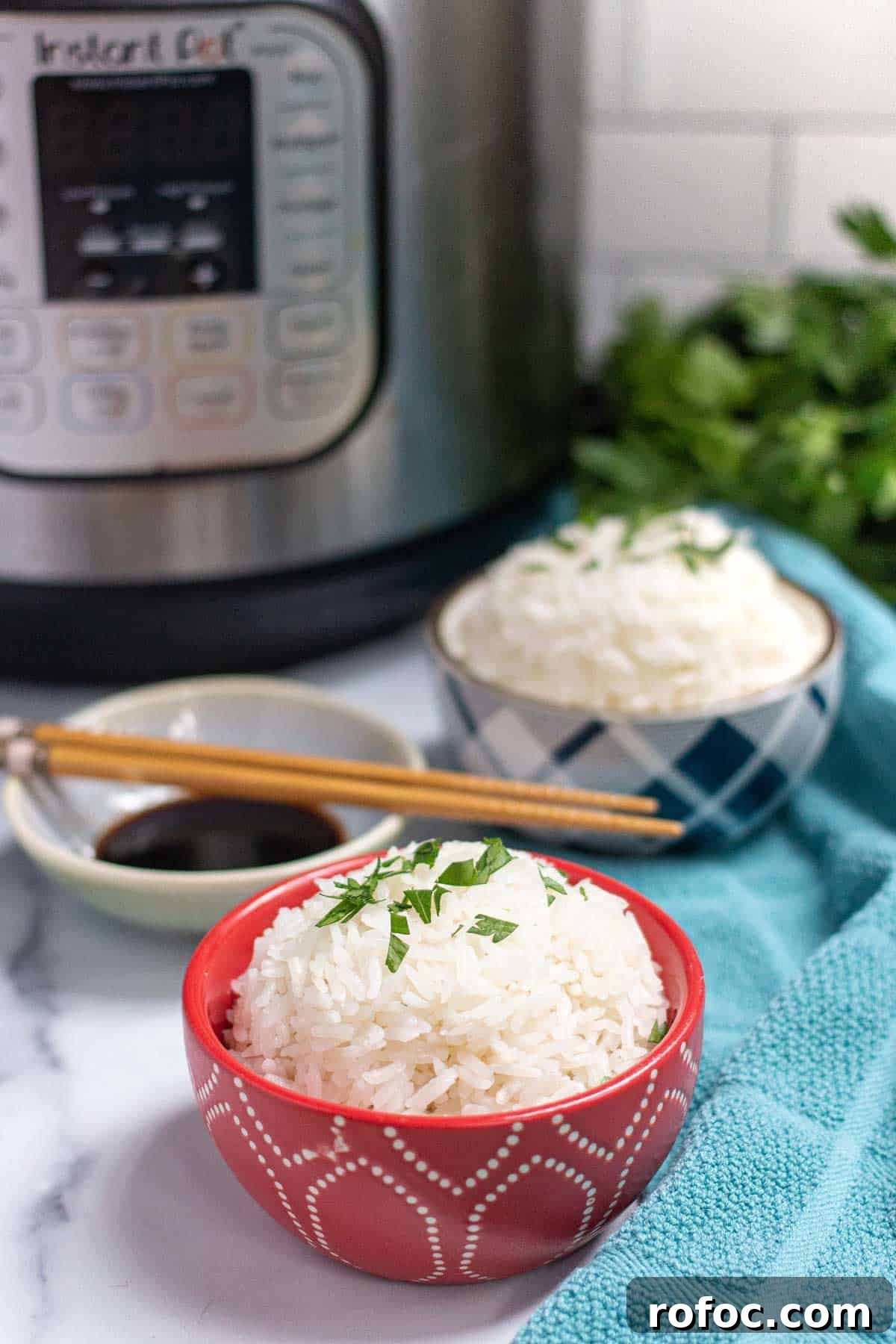 Perfect Jasmine Rice in the Instant Pot: Fluffy & Quick 2 Instant Pot Jasmine Rice in a small bowl with a side of soy sauce.