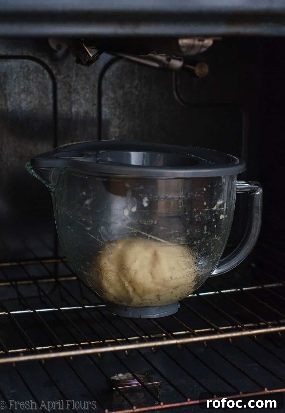 Baking with Yeast: A Practical Guide for Soft, Flavorful Bread 6 Italian Anise Bread: A sweet yeast bread with a tender crumb, flavored with anise extract and dotted with anise seeds.