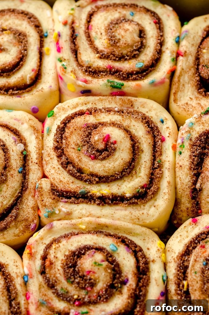 Baking with Yeast: A Practical Guide for Soft, Flavorful Bread 10 Closeup of proofed funfetti cinnamon rolls.